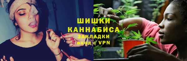 соль ск Арсеньев