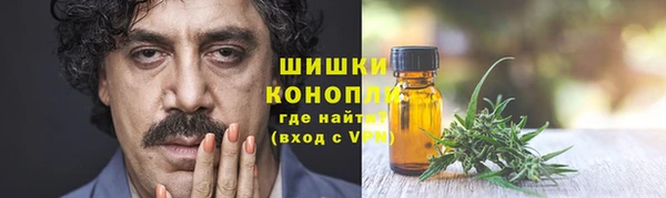 соль ск Арсеньев
